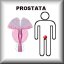 PROSTATA