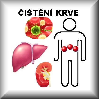 ČESNEKOVÉ VÝHONKY (D6)