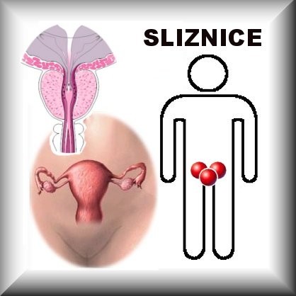 PRAVIDELNÁ MENSTRUACE