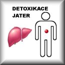 VLAŠTOVIČNÍK (D3)