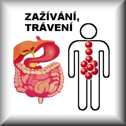 NADÝMÁNÍ