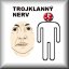 TROJKLANÝ NERV