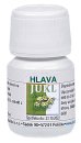 HLAVA (D2)