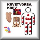 FYROSAN JÁTRA FORTE