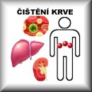 ČESNEKOVÉ VÝHONKY (D6)