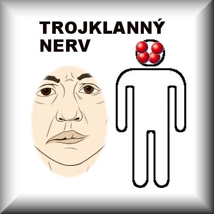 TROJKLANÝ NERV