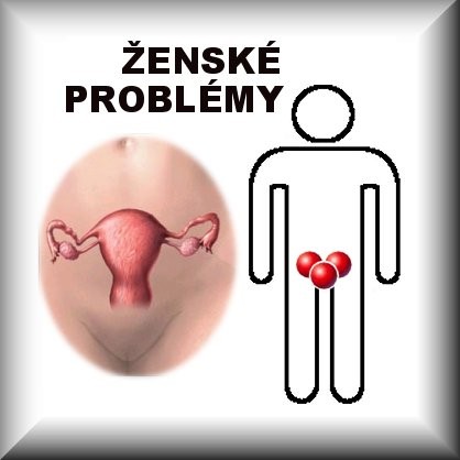 VNITŘNÍ ÚTVAR