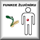 ZEMĚDÝM (D4)